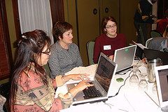 Participants work with websites 