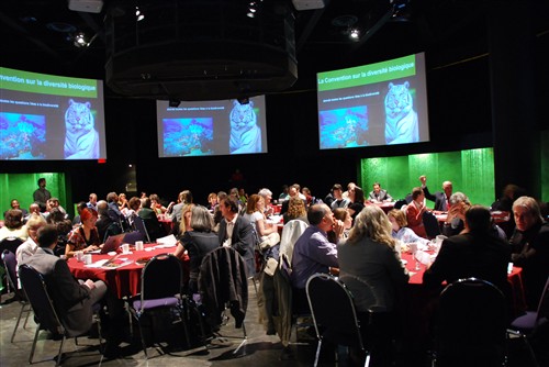 International Day for Biological Diversity 2009 Secretariat of the Convention on Biological Diversity
