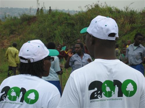 Participants at a tree planting event during the World Environment Day celebrations in Rwanda Secretariat of the Convention on Biological Diversity