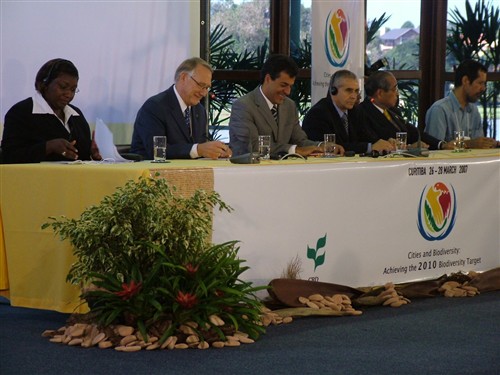 March 2007 Curitiba - Opening ceremony 