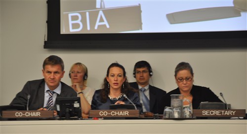 UNGA-65 High Level Meeting on Biodiversity Secretariat of the Convention on Biological Diversity