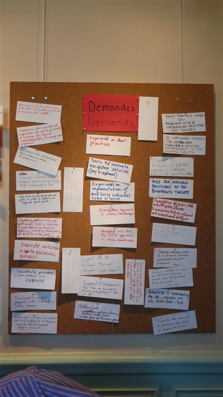 Demands Didir Babin