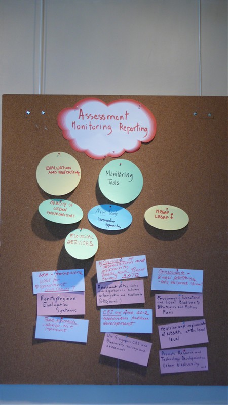 Assessment 3 Didier Babin