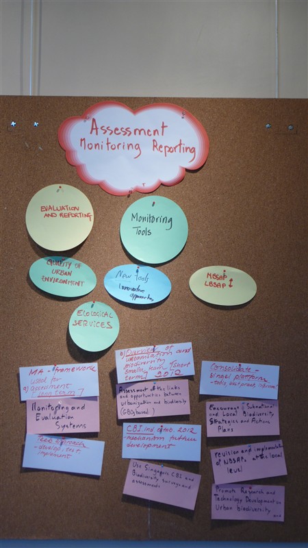 Assessment 2 Didier Babin