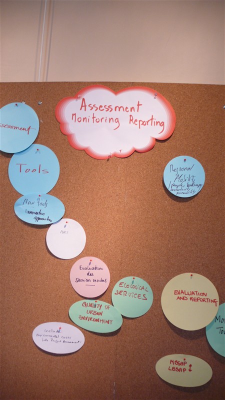 Assessment 1 Didier Babin