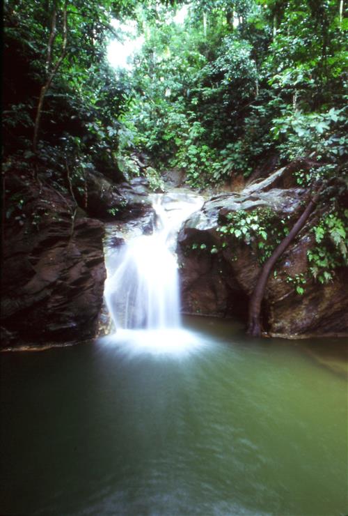 Waterfalls ©The Tourism Development Company Limited of Trinidad and Tobago
