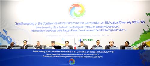 COP-MOP 7 meeting in Pyeongchang, Republic of Korea IISD