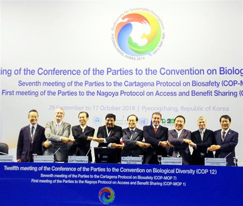 COP 12 meeting in Pyeongchang, Republic of Korea IISD