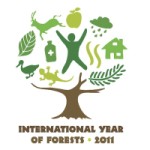 International year of Forests_UN