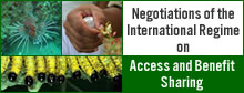 Negotiations of the International Regime on Access and Benefit Sharing