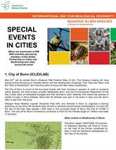 Special Events in Cities