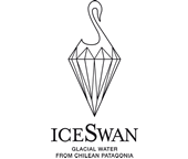 Ice Swan