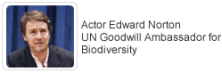 Video message from Edward Norton UN Ambassador for Biodiversity