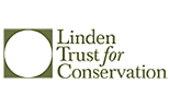 6452