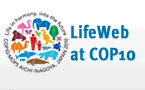 LifeWeb