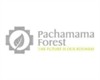 Pachamama Forest Ltd