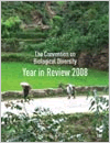 Year in Review 2008