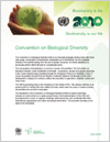 CBD Fact Sheets
