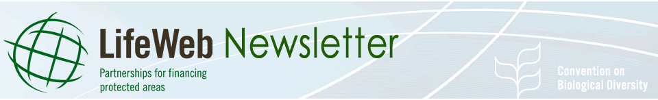 lifeweb newsletter