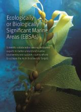 Ecologically or Biologically Significant Marine Areas (EBSAs)