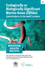 Folleto sobre Áreas marinas de importancia ecológica o biológica del Pacífico occidental y meridional