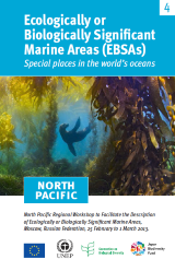 Folleto de las Áreas marinas de importancia ecológica o biológica del Pacífico Norte