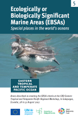 Folleto sobre Áreas marinas de importancia ecológica o biológica del Pacífico meridional