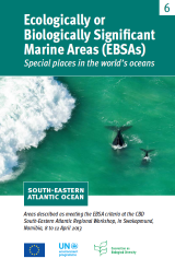 Folleto sobre Áreas marinas de importancia ecológica o biológica del Océano Atlántico Sudoriental