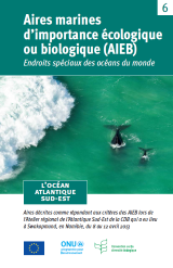 Folleto sobre Áreas marinas de importancia ecológica o biológica del Océano Atlántico Sudoriental