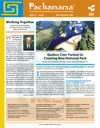 Pachamama Newsletter