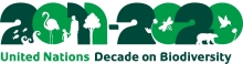 2011-2020 United Nations Decade on Biodiversity
