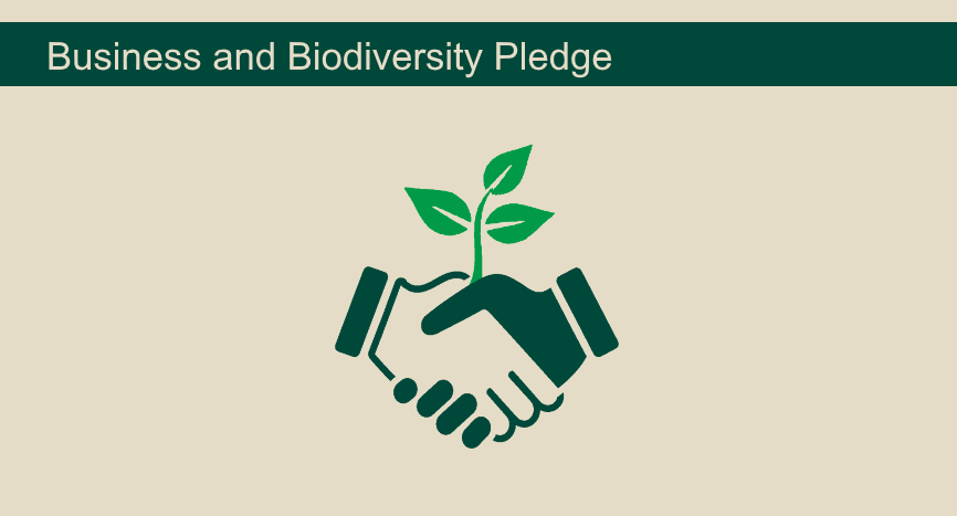 Business and Biodiversity Pledge