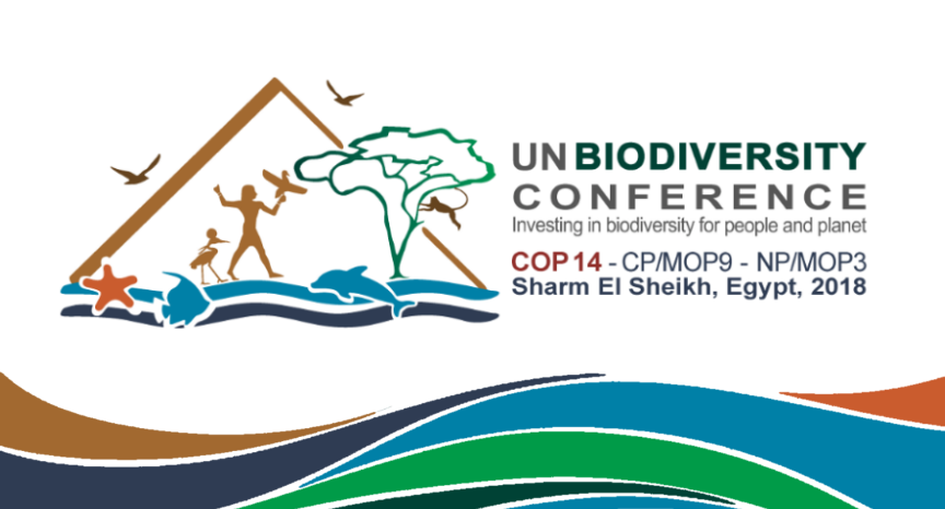 UN Biodiversity Conference, Sharm El-Sheikh, Egypt, 2018