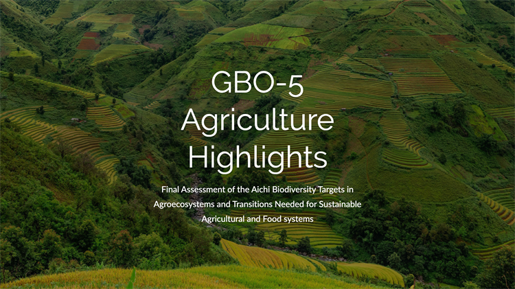 GBO-5 Agriculture Highlights