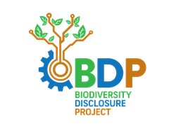 South Africa Initiative