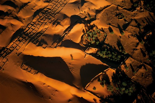 September: Oasis in Desert 