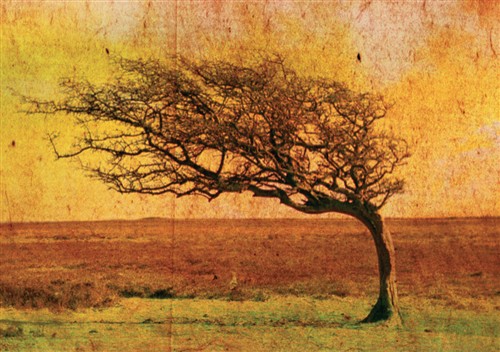 September: Weathering the Storm 