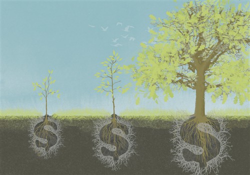 February: Hidden Costs 