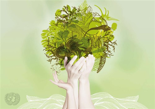 January: Biodiversity in Poverty 