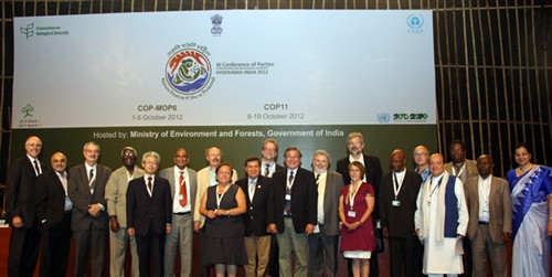 CBD veterans at COP 11 IISD/Franz Dejon