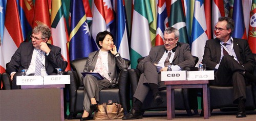 UNFF 10th session in Istanbul, Turkey IISD - Franz Dejon