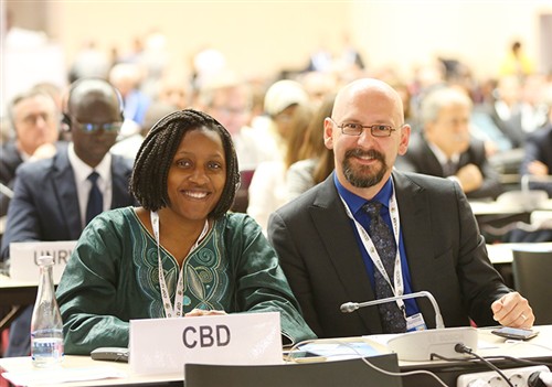 CBD at the UNCCD COP 12 - Ankara, Turkey IISD-ENB