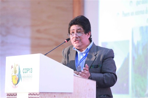 Mr. Ramiro Batzin, Global Coordinator of the IIFB. Cortesy of the Comision Comisión Nacional para el Desarrollo de los Pueblos Indígenas