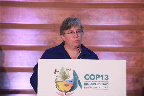 Dr. Jamison Ervin, Head, UNDP Global Biodiversity Programme, UNDP. Cortesy of the Comision Comisión Nacional para el Desarrollo de los Pueblos Indígenas