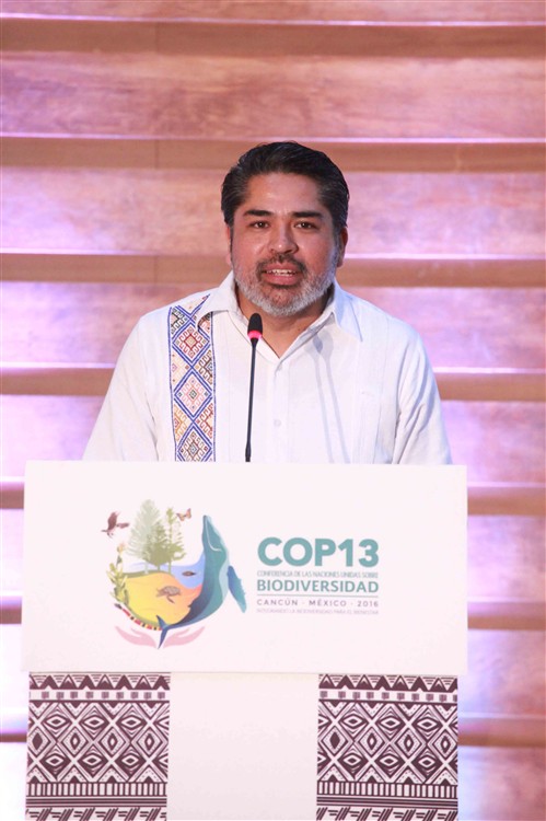 Mr. Jesús Guadalupe Fuentes Blanco, President of the Advisory Counsel of the CDI , Mexico. Cortesy of the Comision Comisión Nacional para el Desarrollo de los Pueblos Indígenas