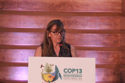 Mrs. Eleanor Sterling, Chief Conservation Scientist, Center for Biodiversity and Conservation, American Museum of Natural History, New York, United States. Cortesy of the Comision Comisión Nacional para el Desarrollo de los Pueblos Indígenas