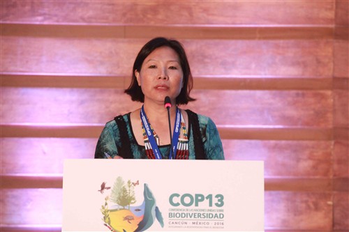 Ms. Thingreiphi Lungharwo, Naga Women Union, (India). Cortesy of the Comision Comisión Nacional para el Desarrollo de los Pueblos Indígenas