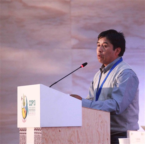 Mr. Daniel Hernán Ancapan Marileo, Comunidad Indigena Manquemapu (Chile). Cortesy of the Comision Comisión Nacional para el Desarrollo de los Pueblos Indígenas