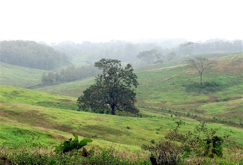 Tableland field ©The Tourism Development Company Limited of Trinidad and Tobago