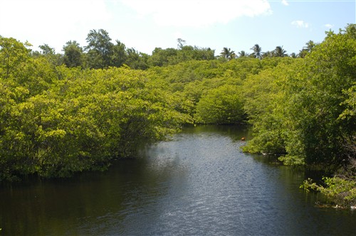 Bon Accord Wetlands ©The Tourism Development Company Limited of Trinidad and Tobago